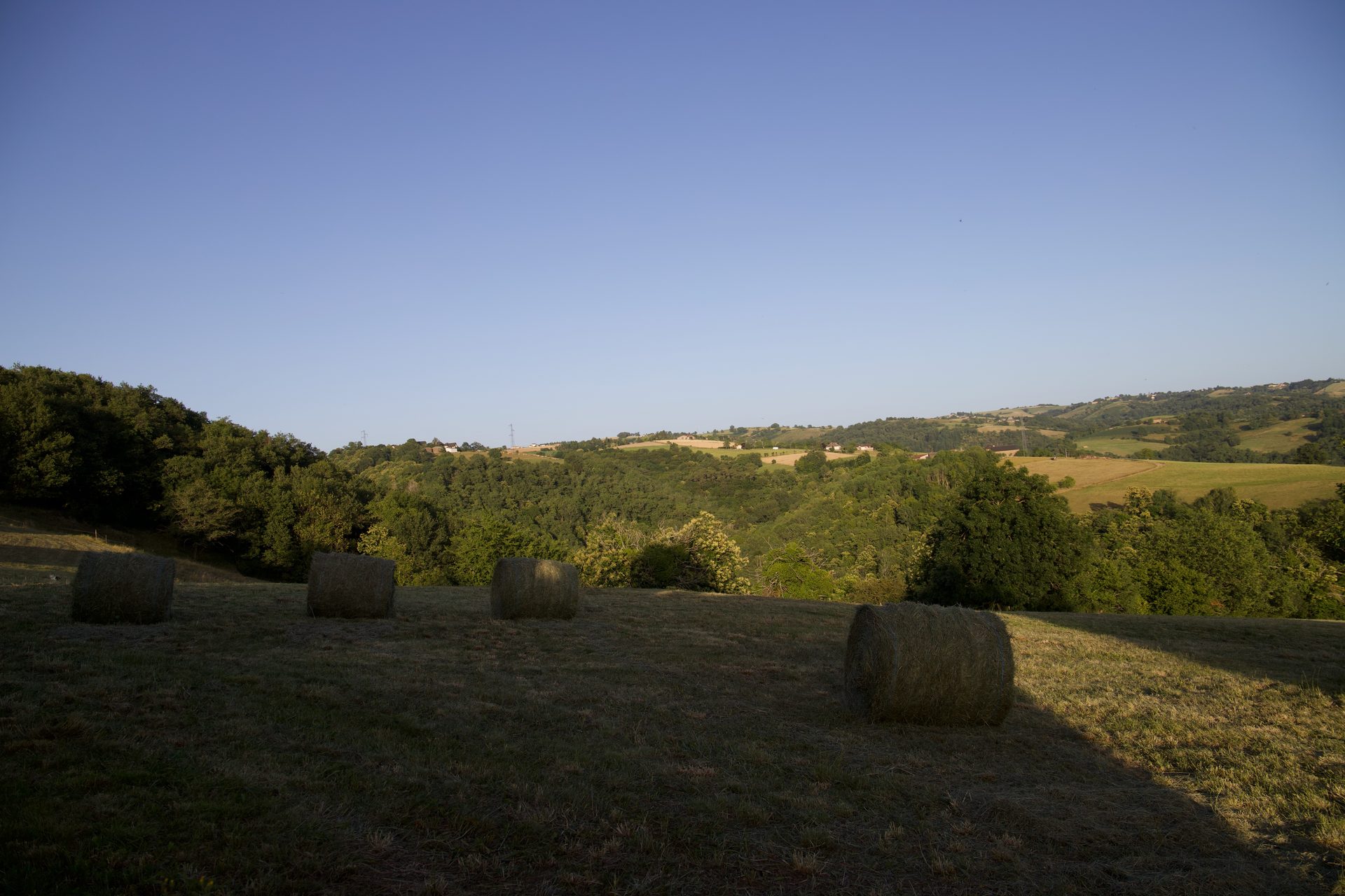 Charme de l'Aveyron